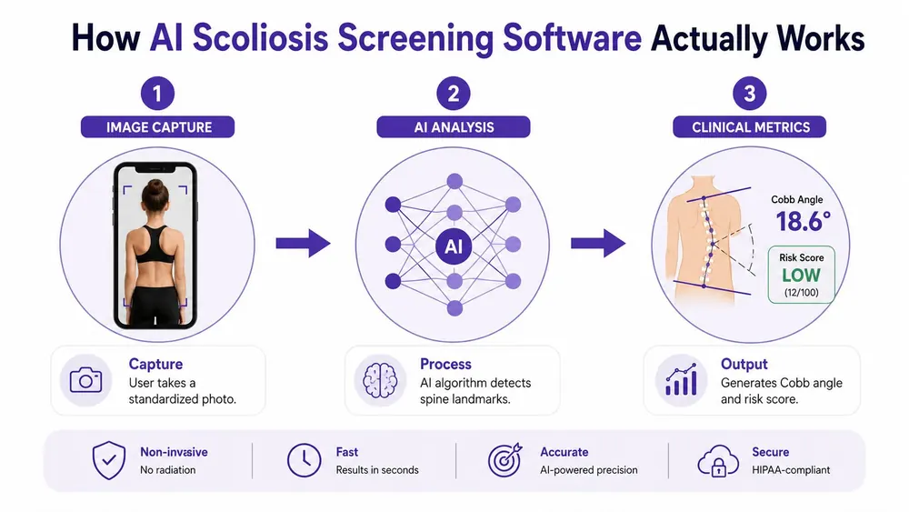 An infographic showing the three-step process of an AI-powered scoliosis screening software for spinal analysis.