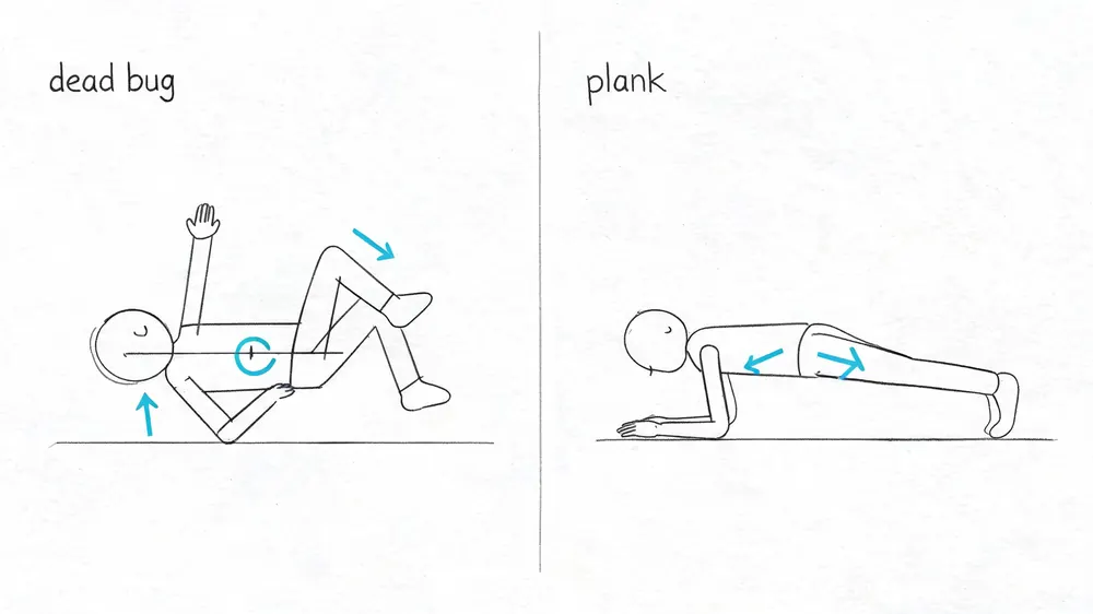 Illustration showing how to perform dead bug and plank exercises for improving body posture and core stability.