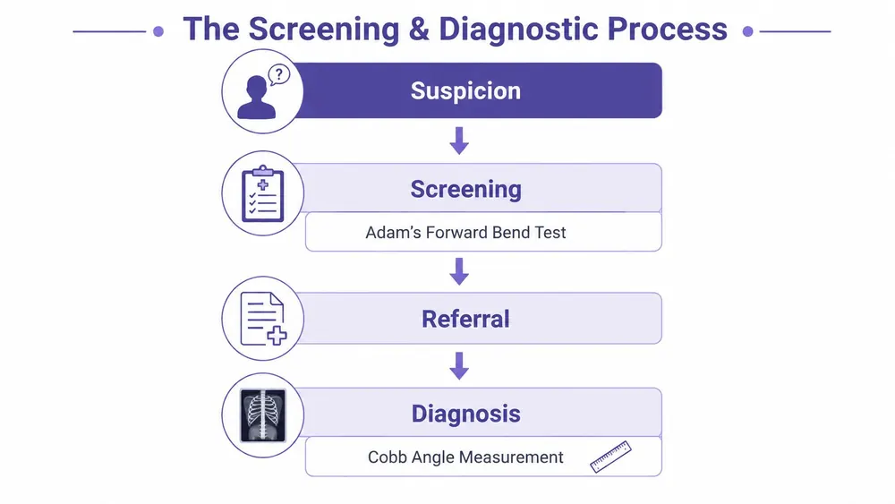 A flowchart showing the four-step screening and diagnostic process for scoliosis in teenagers, including medical procedures.
